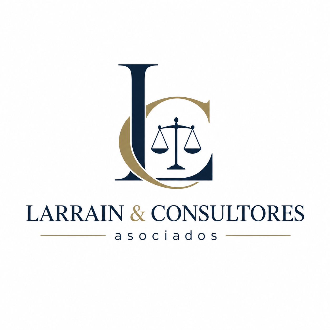 larrainyconsultores.cl
